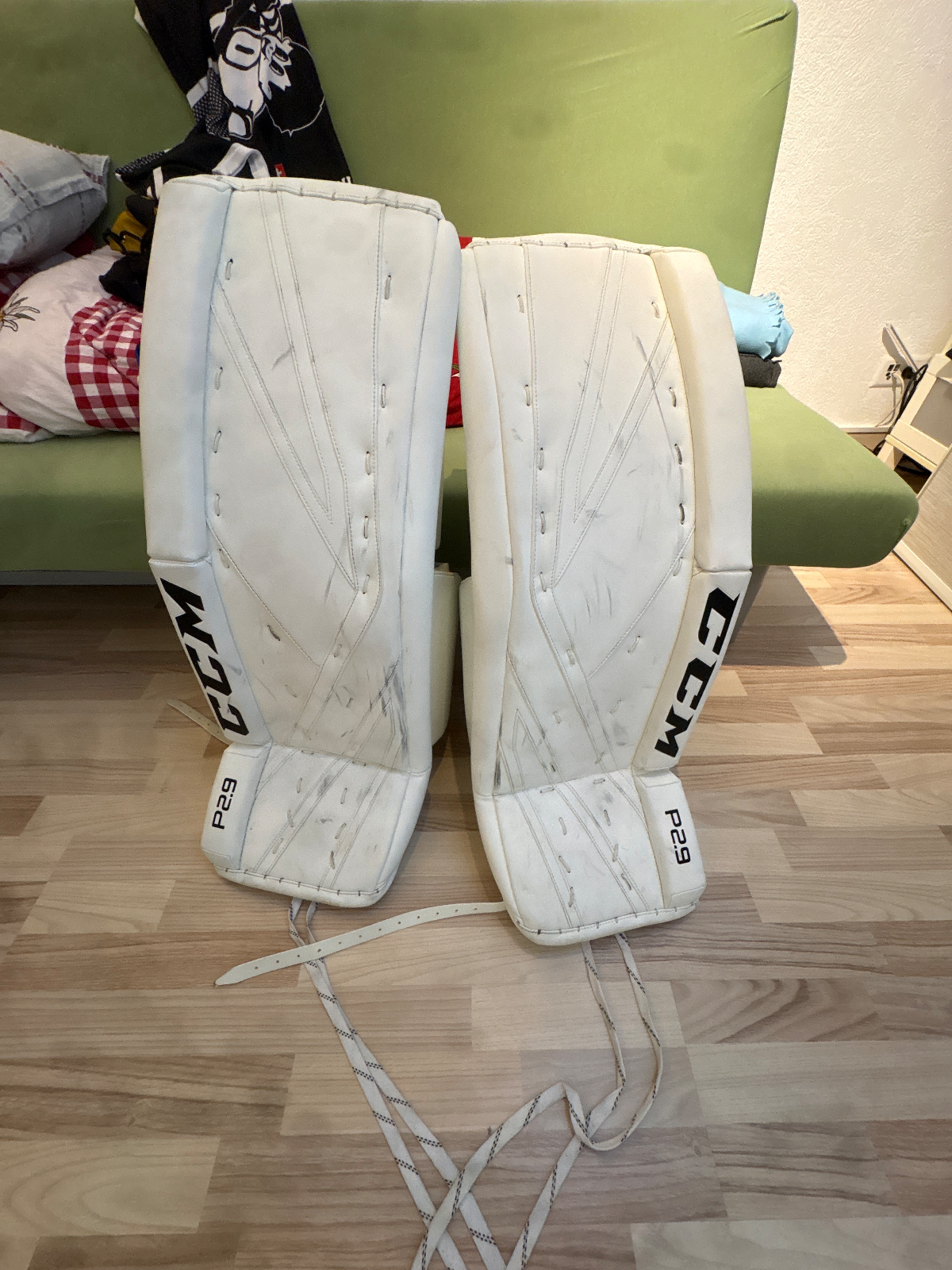 CCM P2.9